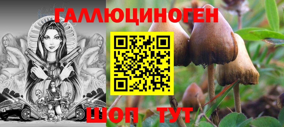 Псилоцибиновые грибы Cubensis  Псилоцибиновые грибы мицелий  купить наркотики сайты  Кемерово  Вход с VPN 