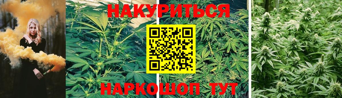 Бошки Шишки семена  Бошки марихуана семена  Вход с VPN  Кемерово  Конопля AK-47 